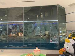 -帝企鹅自助餐厅•儿童岛•真企鹅(长隆企鹅酒店)