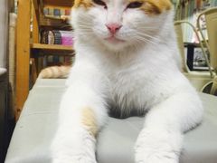 -小时光咖啡馆(开森度假森林店)
