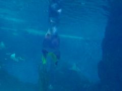-常州海昌海洋探索馆