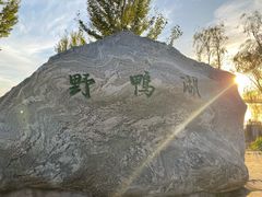 -野鸭湖国家湿地公园