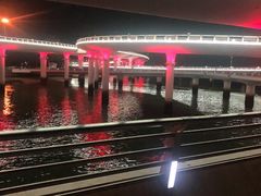 -演武大桥观景平台