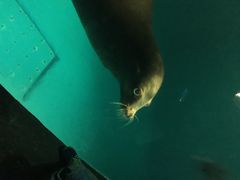 iphone_upload_pic-泉城欧乐堡海洋极地世界