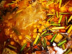 -师烤·豆花烤鱼(广州荔湾扬韬广场店)