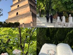 -大慈恩寺(大雁塔)