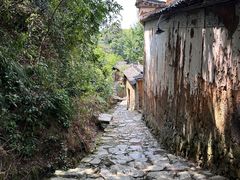 -杨家堂村