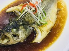 -峨嵋酒家(清河店)
