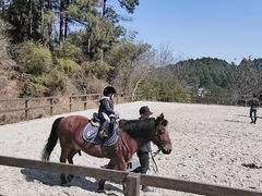 -枫露马术学院(藏书校区)