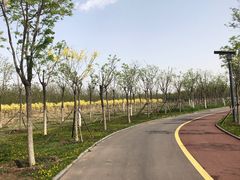 -天津东丽湖风景区