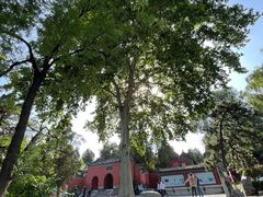 -南阳卧龙岗武侯祠