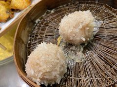 大力丸-风波庄(罍街分舵)