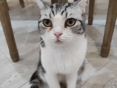 -共舞时光猫咖·狗咖(新街口店)