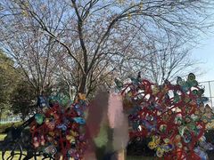 -昆山城市生态森林公园