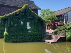 -鲁镇