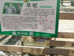 -北京鹿世界主题园