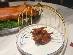 -十六台·经典广东菜(德外大街店)