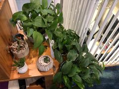 -SAH健身私教工作室(紫东店)