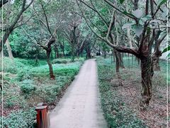 -大渡口区义渡公园