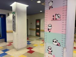 -北京新世纪儿童医院