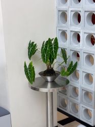 -优尚·烫·染·店