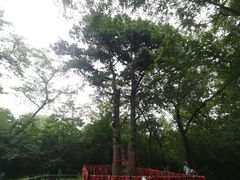 -北陵公园