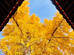-承恩寺