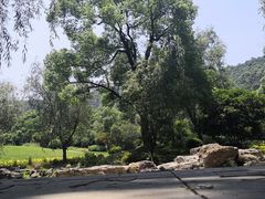 -浙江大学(玉泉校区)