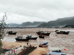 -北岐滩涂