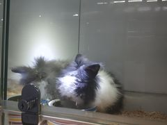 -宝鸡东道花鸟鱼虫市场(吉利花园商场店)