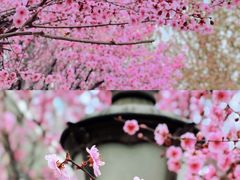 -睦南公园