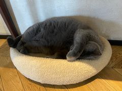 -Me Coffee下午茶艺术空间