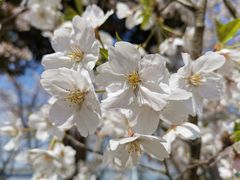 -幕燕滨江·长江观音景区