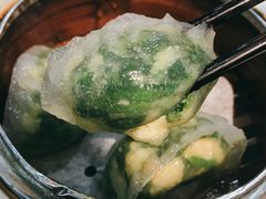 -糖朝(尖沙咀店)