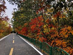 -石家庄市动物园