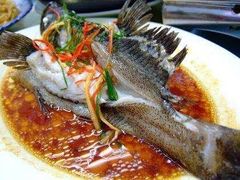 -友强·23年特色海鲜大排档(厦门店)