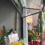 瘦子咖啡，喝喝变瘦子