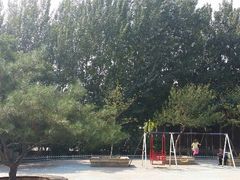 android_upload_pic-沈阳中山公园