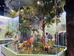 -国家自然博物馆