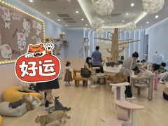 -东莞松山湖万象汇