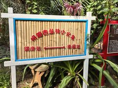 -呀路古热带植物园