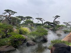 -罗红摄影艺术馆