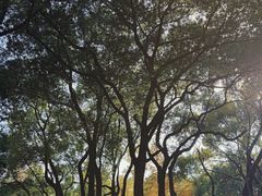 -徐家汇源景区-衡山公园