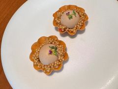 -觀芷隐轩