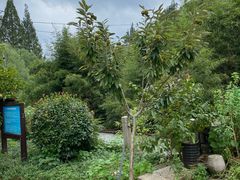 -东北得意(东兴小区店)