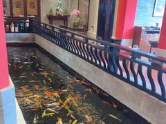 -龙悦湾酒家·八阵鱼生·渔人码头店