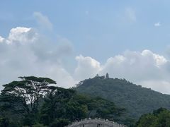 -顺峰山公园