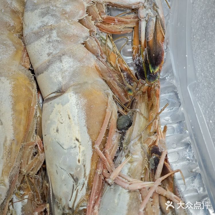 真正渤海湾海捕对虾制作，《大虾烧白菜》天花板