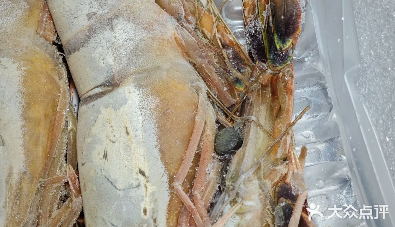 真正渤海湾海捕对虾制作，《大虾烧白菜》天花板