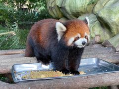 -常州淹城野生动物世界