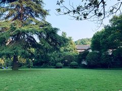 -浙江宾馆·花园餐厅·自助餐厅·茶吧