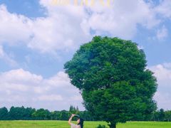 -山明水秀大饭店